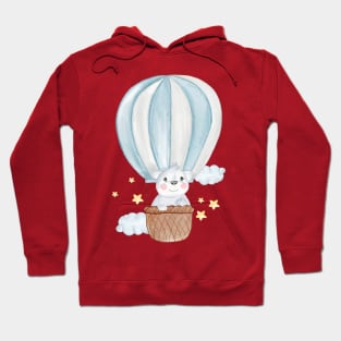 Koala Air Balloon Hoodie